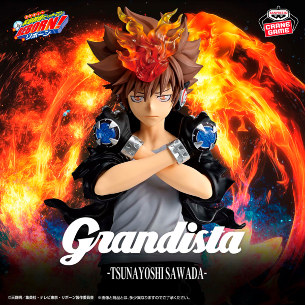 Tsuna Sawada Katekyo Hitman Reborn! "Grandista" CraneGame